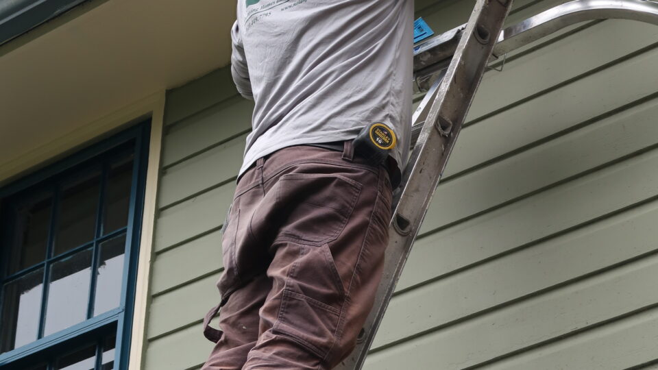 Nolan Painting Carpentry team member fixing rotting wood