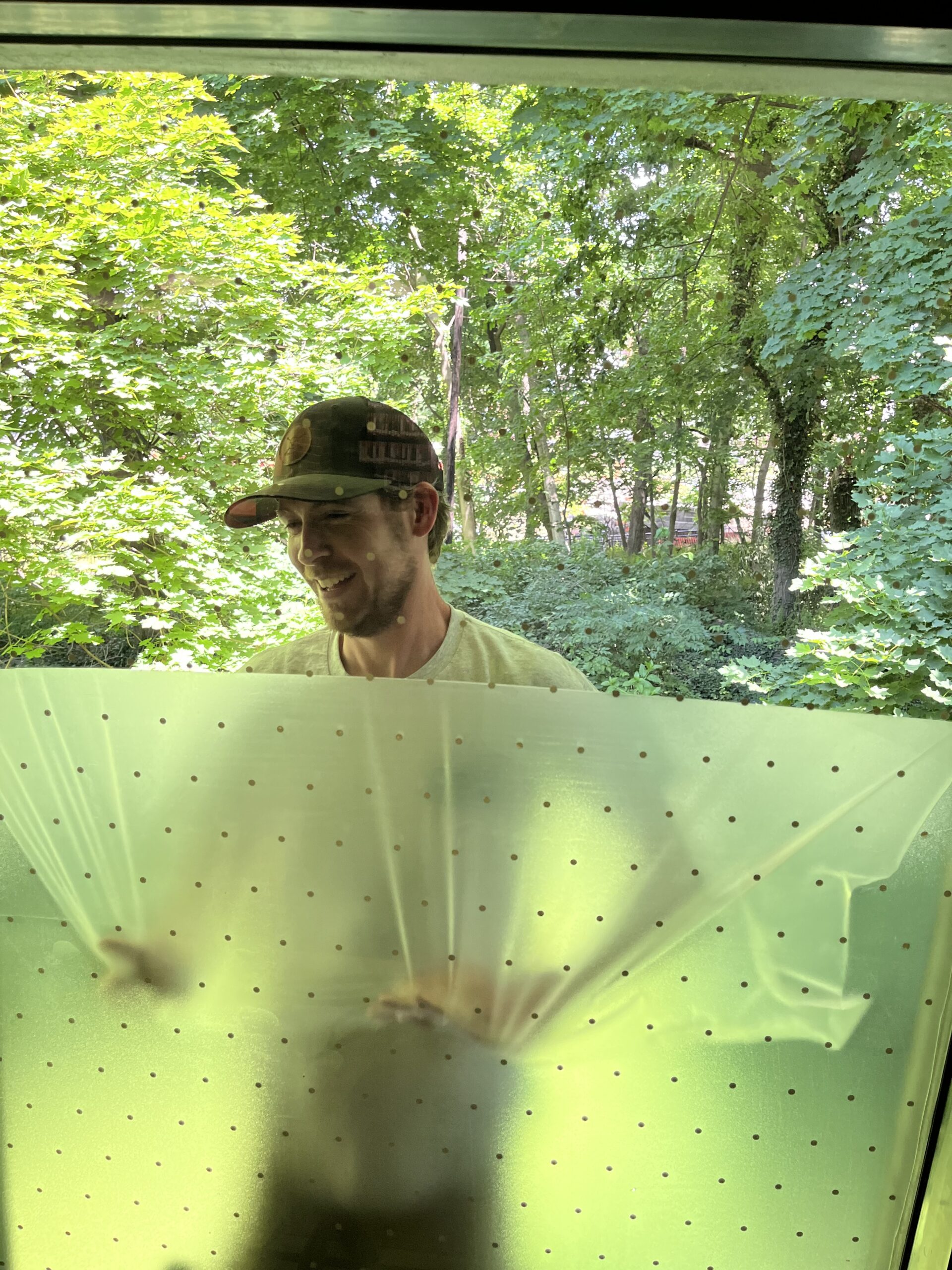 Nolan Painting Company- Havertown, PA Man wearing a green cap, smiling, seen through a perforated, translucent pane with a forest background outside the window.